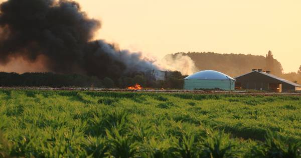 Oorzaak grote brand bij boerderij in Haps nog onduidelijk