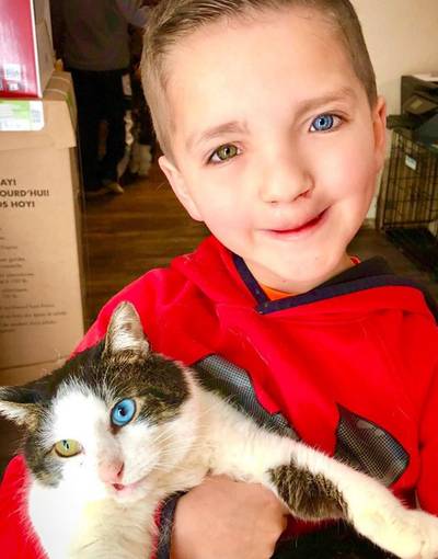 Ouders geven zoon unieke asielkat in strijd tegen pesters