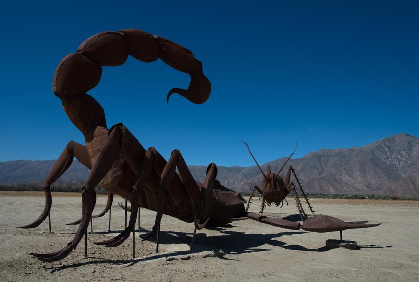 Schorpioen kunstwerken in de woestijn