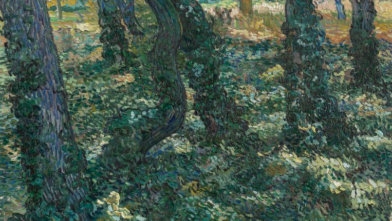 Geschilderde boswandeling is inkoppertje voor Van Gogh Museum | De  Volkskrant