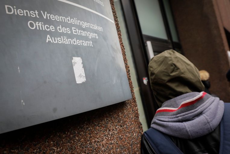 DVZ verzuipt in het werk door nieuwe Europese regel | Binnenland | Nieuws |  HLN