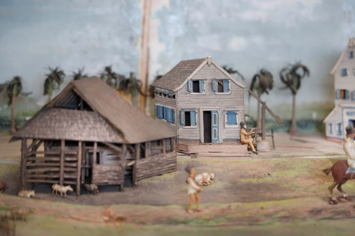 Detail uit het Surinaamse diorama.