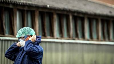 Vogelgriep op eendenbedrijf Biddinghuizen