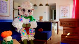 Schaapje verlaat haar huisje niet graag