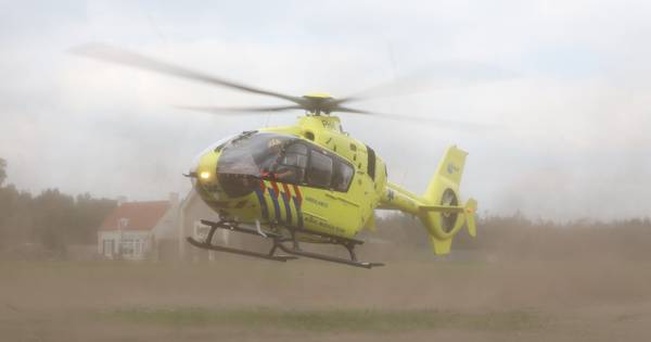 Man (75) uit Diessen omgekomen bij botsing tegen boom langs N395 richting Middelbeers - BD.nl