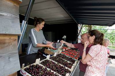 'Eigen fruit eerst': Neder-Betuwe komt met nieuwe regels voor fruitstalletjes