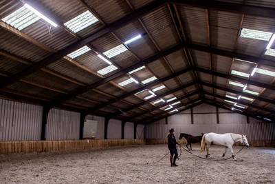Dier&Recht: Hollandsche Manege behandelt paarden erbarmelijk