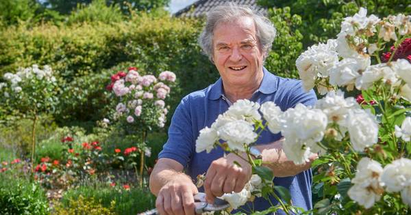 Het Mariaheide van Mart van Goor: 'Een dorp kan niet zonder zorg voor elkaar' - BD.nl