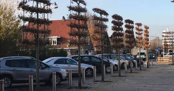 Het is nog even wachten op evaluatie parkeerproef marktplein Wijk en Aalburg - BD.nl