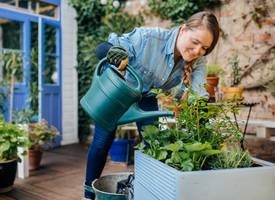 Zo krijgen je planten genoeg water als je op vakantie bent