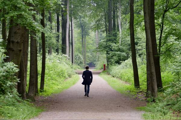 Die Klangweber: Die Neoklassiker