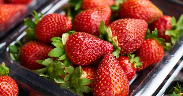 Aardbeien in supermarkt zijn 6 keer giftiger dan ander 