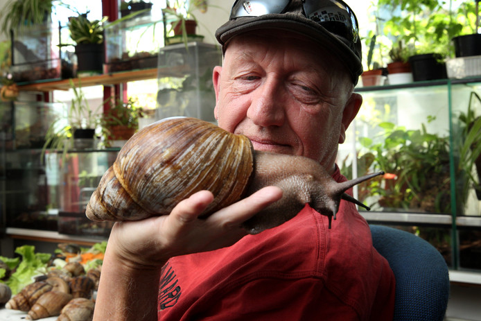 Dick zuigen op zijn best moeders sex video