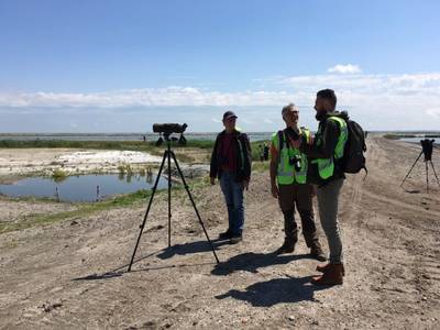 Eerste zoogdieren gespot op Marker Wadden