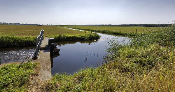 Start pilot voor een betere waterkwaliteit in Westerbeek
