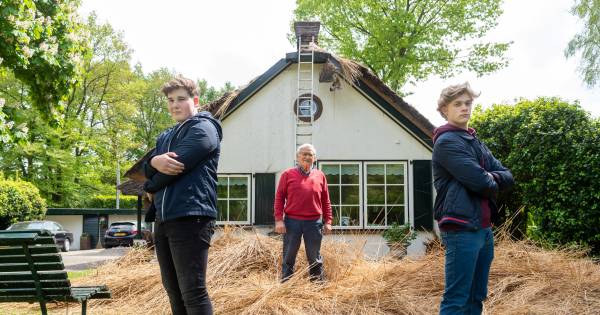 Gemist? Dankbaarheid voor reddende tieners in Epe en Zwollenaar opgepakt voor schietincident.