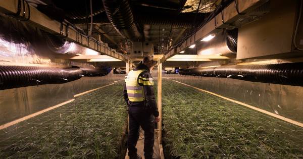 Vorden haalt schouders op over wietkwekerij in dorpshart: ‘Kan overal gebeuren’
