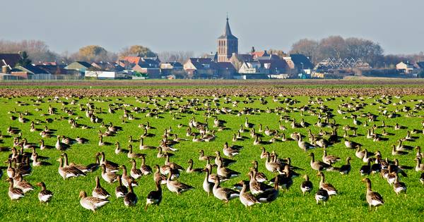 Kerk in Lage Zwaluwe staat opnieuw te koop