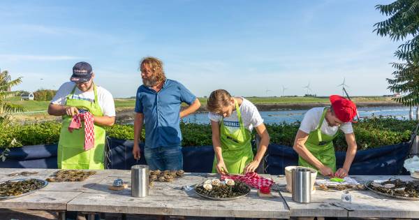 NK oestersteken in Bruinisse: verstand op nul en gaan....