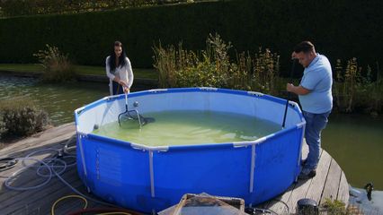 Aflevering 2