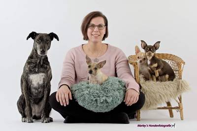 Je huisdier verzekeren steeds populairder: ‘Het mag Chucky aan niets ontbreken’