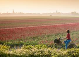 Volgende week wordt het weer kouder