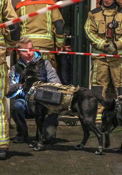 Was labrador op sokken cruciaal bij redding Sharwin?