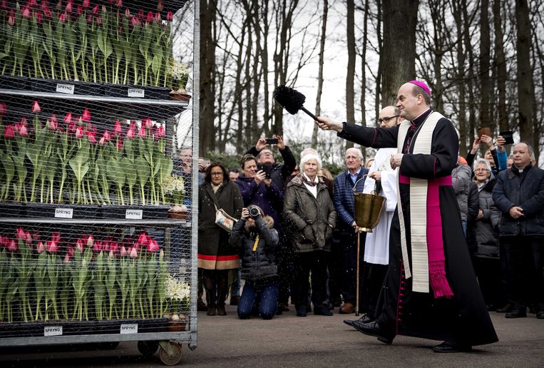 Geen Nederlandse bloemen in Rome en andere paasgebeurtenissen - Trouw