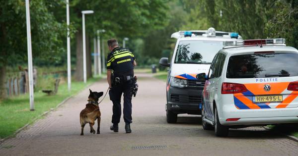 Bejaarde man (88) in Schalkhaar achtervolgt inbreker 'in keurig pak': 'Ik dacht nog: straks raakt hi