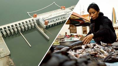 Vietnam verliest dagelijks anderhalf  voetbalveld aan land