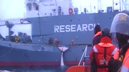 Rechter verplicht Australië choquerende beelden vrij te geven van Japanse walvisvangst