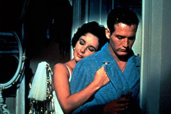Cat on a Hot Tin Roof