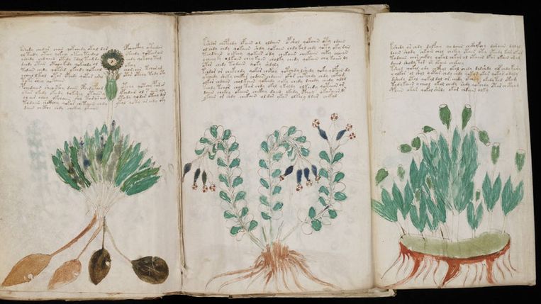 Voynich Manuscript