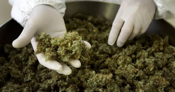 Burgemeester Maasdriel sluit weer een drugspand