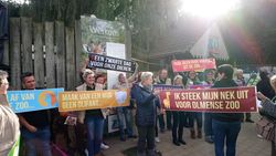 Meer dan 400 actievoerders hekelen opgelegde sluiting Olmense Zoo