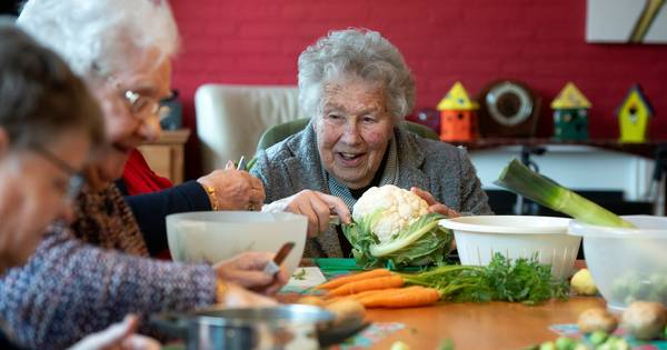 Deze ouderen moestuinieren lekker binnen | Koken & Eten - AD.nl