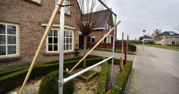 Saasveld krijgt er elf woningen bij in de wijk Diezelkamp