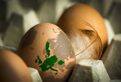 NVWA voor de rechter om fipronil-rel