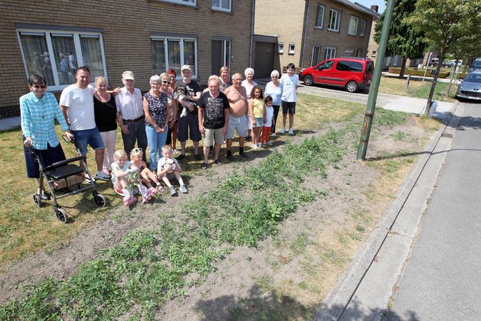 Stoeptegels Weg Onkruid In Plaats Evergem Hln Be