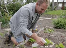 Boer Tom: “Dit doe ik tegen slakken in mijn tuin”