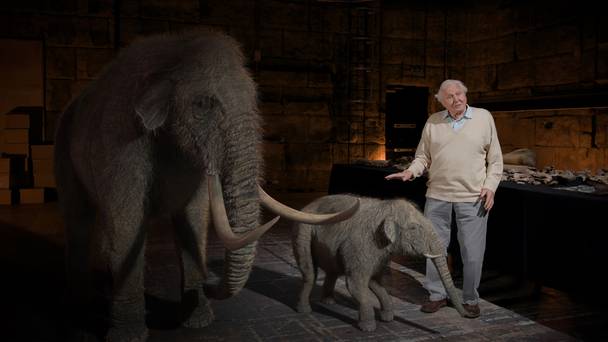 Attenborough and the Mammoth Graveyard