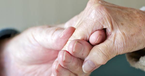 Man (92) valt op eigen erf in Hezingen en wordt na half uur gevonden - Tubantia