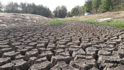 Bossen en heide zijn kurkdroog, maar het wild eet zich wel vol