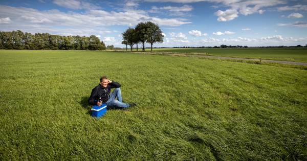 Geen Dicky Woodstock in Steenwijkerwold dit jaar: 'Een zwart gat' - De Stentor
