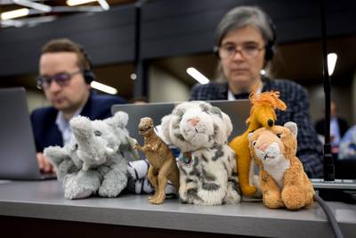 Krijgt de bedreigde giraffe een ‘knuffelstatus’?