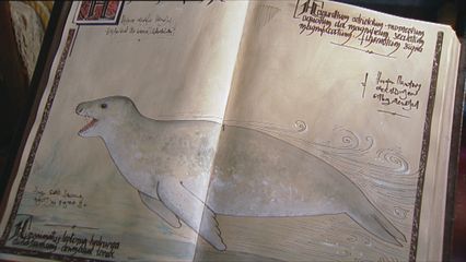 5. De Zeeluipaard & De Orka
