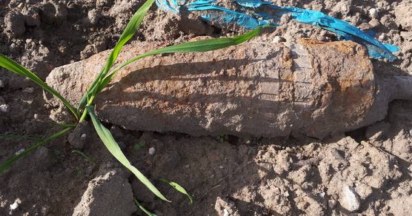 WOII-granaat gevonden bij Hedel: 'Al de vierde keer dat ik dit meemaak'