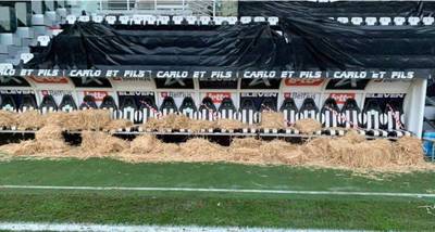 “Trop de chèvres, peu de Zèbres”, la pression monte au Sporting Charleroi