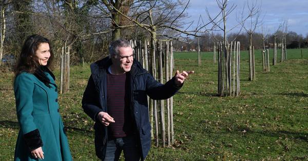 Provincie steekt miljoenen in boerengrond om te helpen met mestkringloop en natuur - Eindhovens Dagb