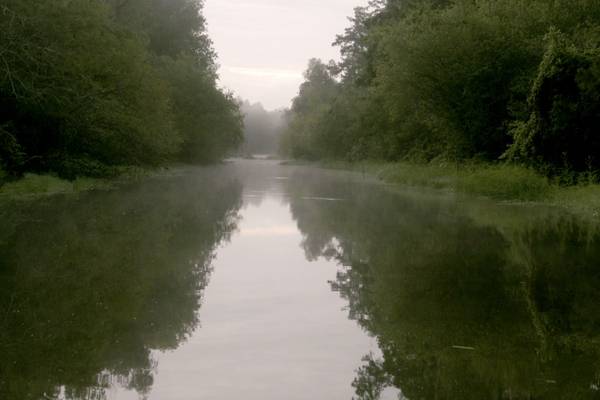 Murder in the Bayou